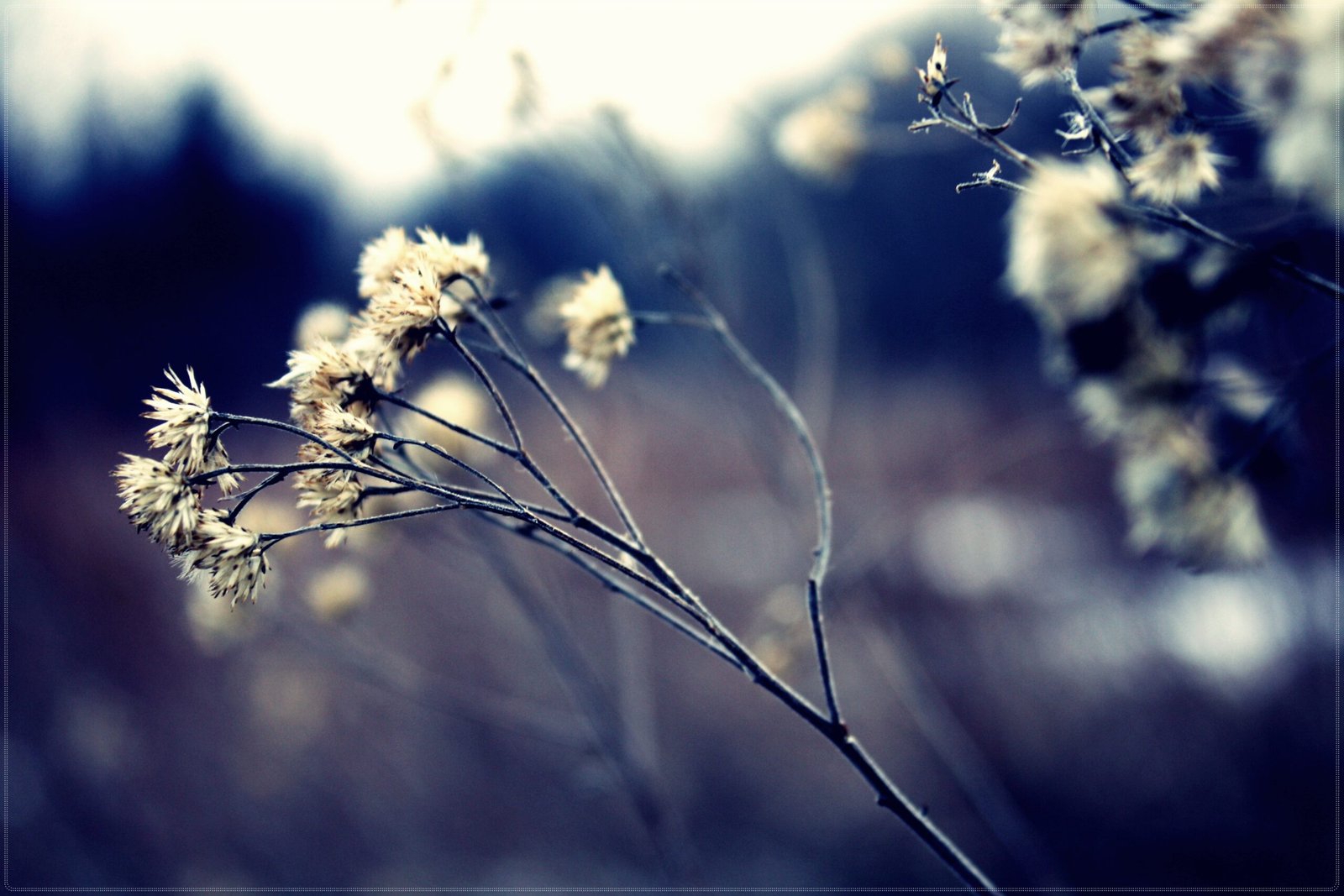 The Spaces Between