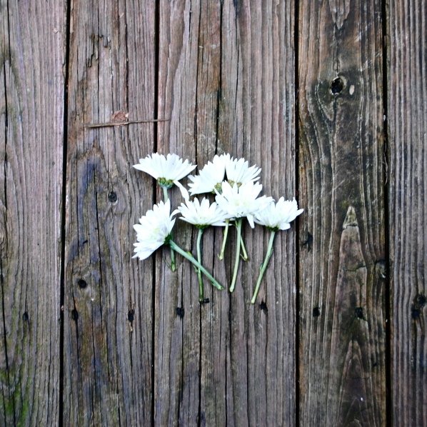 Zero Point Awareness