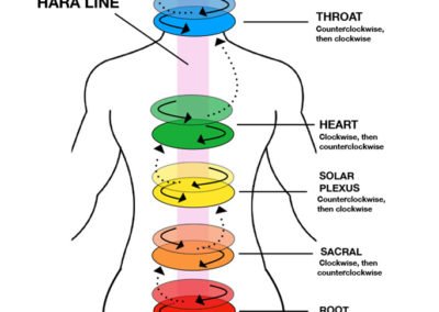 Horizontal plates: Click for a larger view