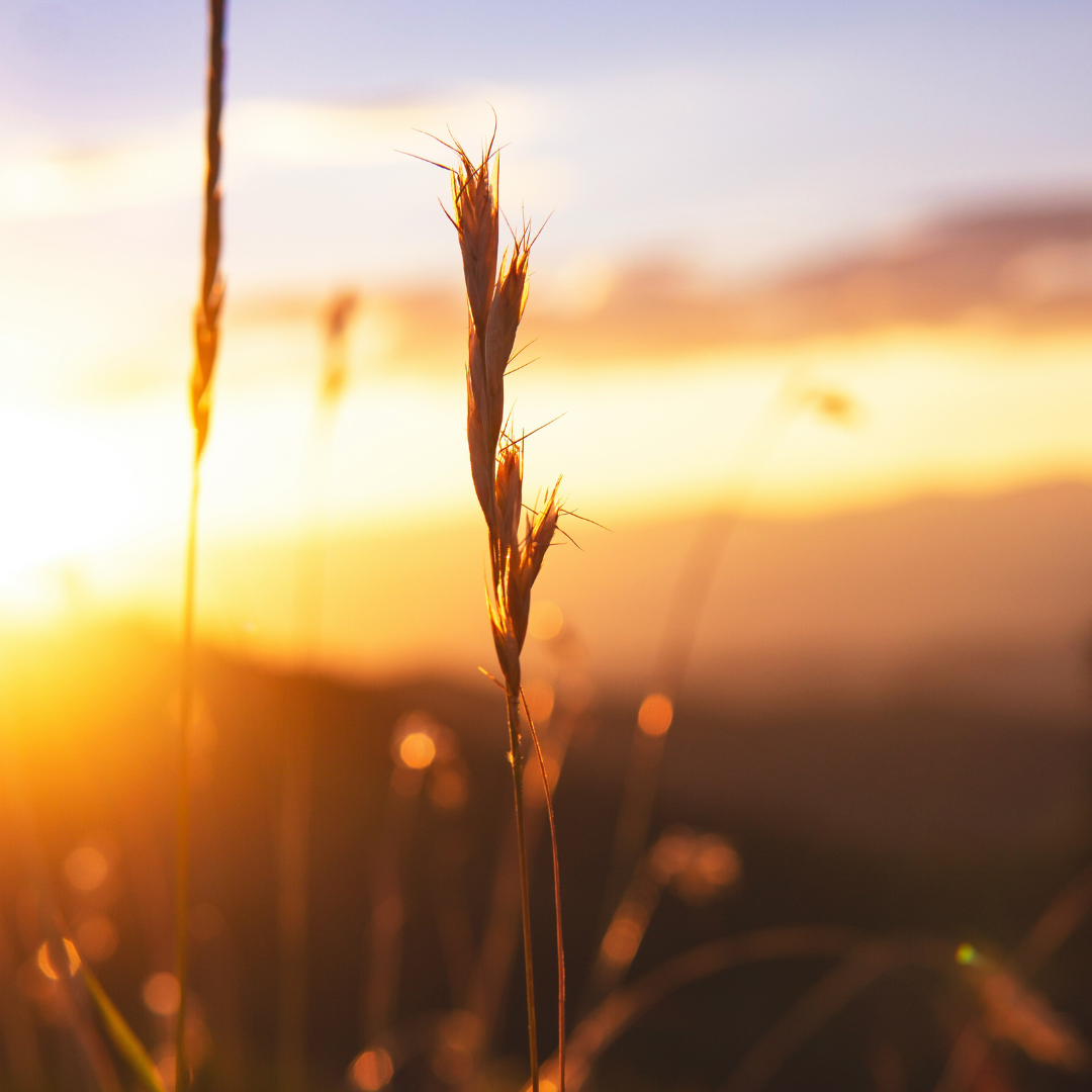 Youtube Video Covers (Instagram Post) (3)